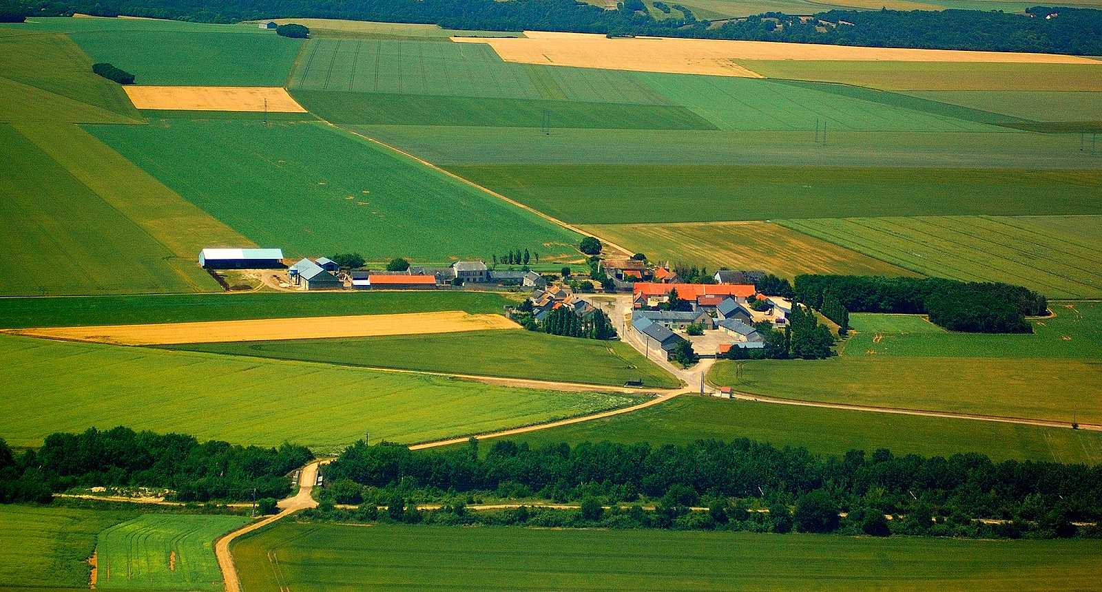 conseil en gestion de patrimoine